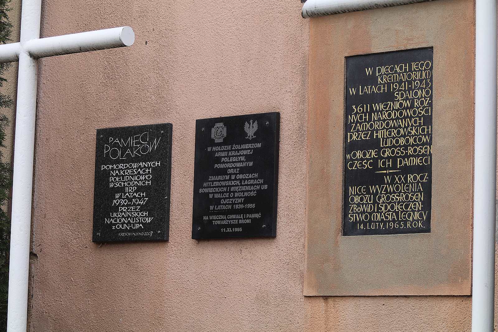 Zapalili znicze na grobach walczących o niepodległość