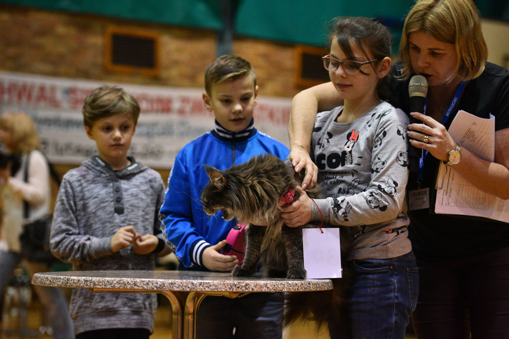 Pochwal się swoim zwierzątkiem - zachęcał OSiR