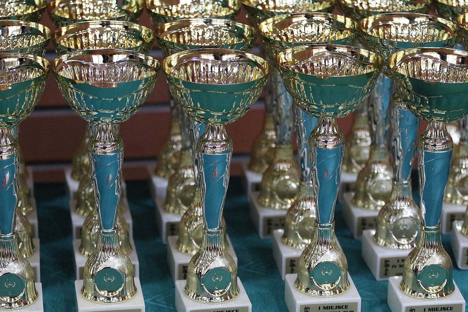 Turniej Karate Shinkyokushin 