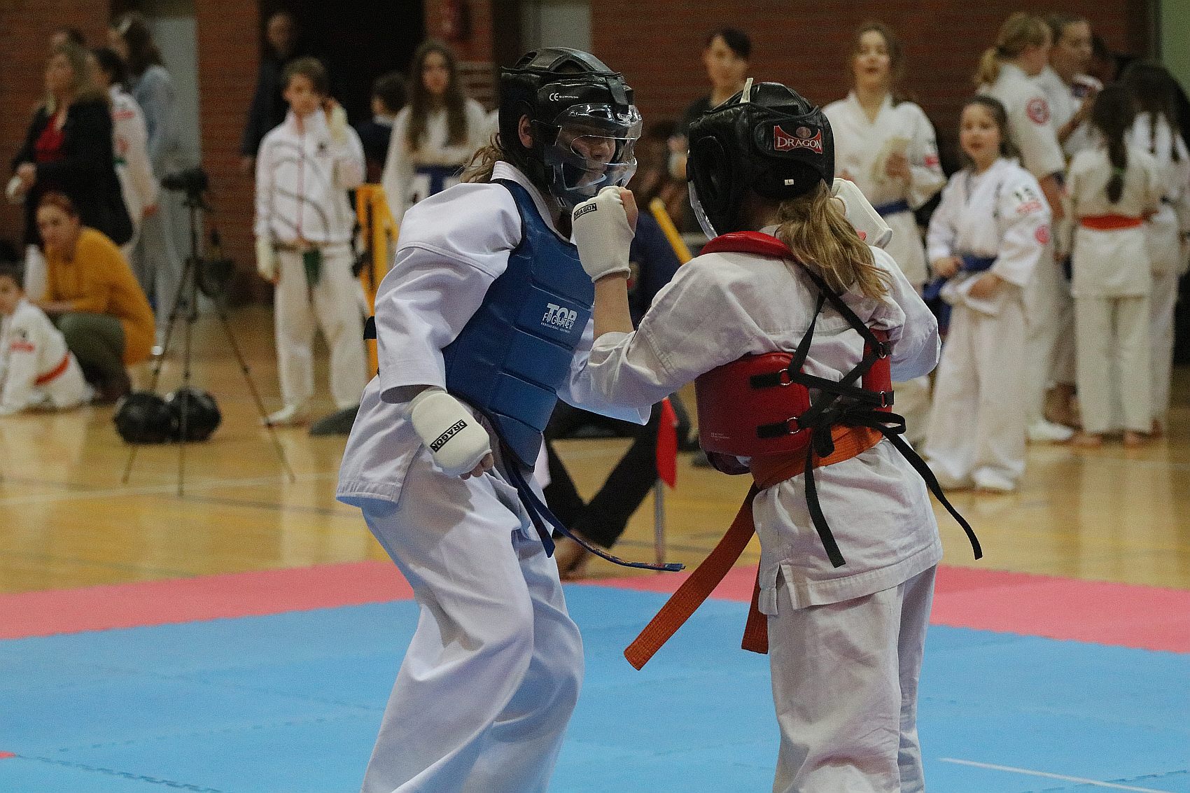 Turniej Karate Shinkyokushin 