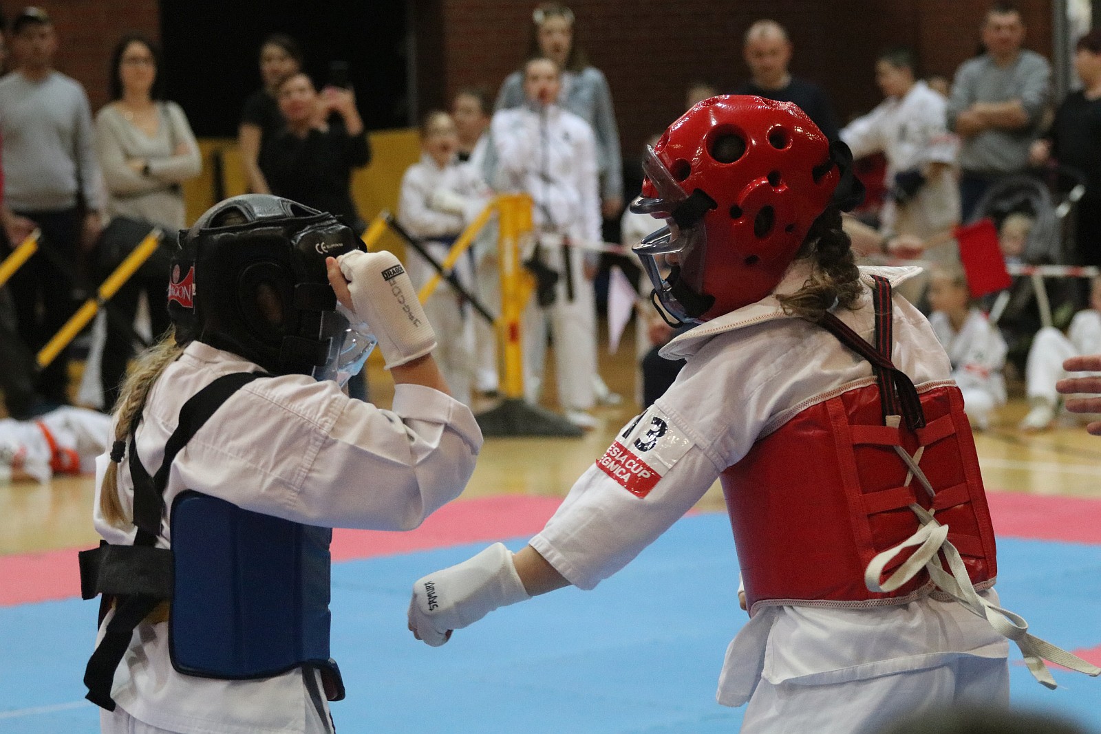 Turniej Karate Shinkyokushin 