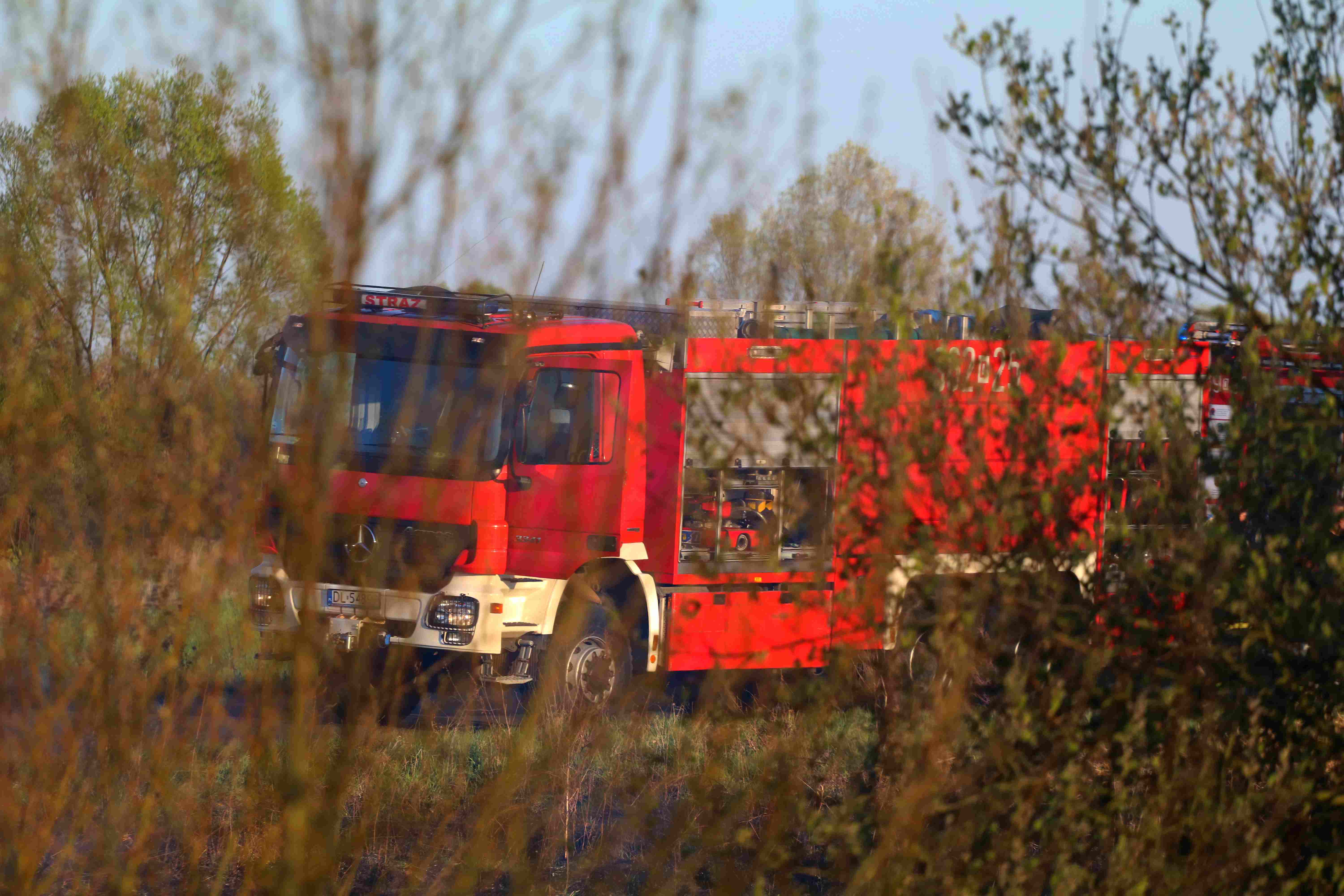 Strażacy cały dzień walczyli z pożarami traw