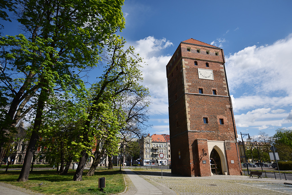 Zobacz niesamowite widoki z wieży św. Piotra