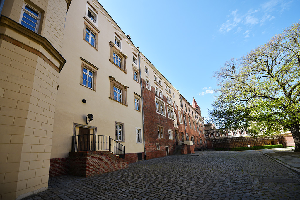 Zobacz niesamowite widoki z wieży św. Piotra