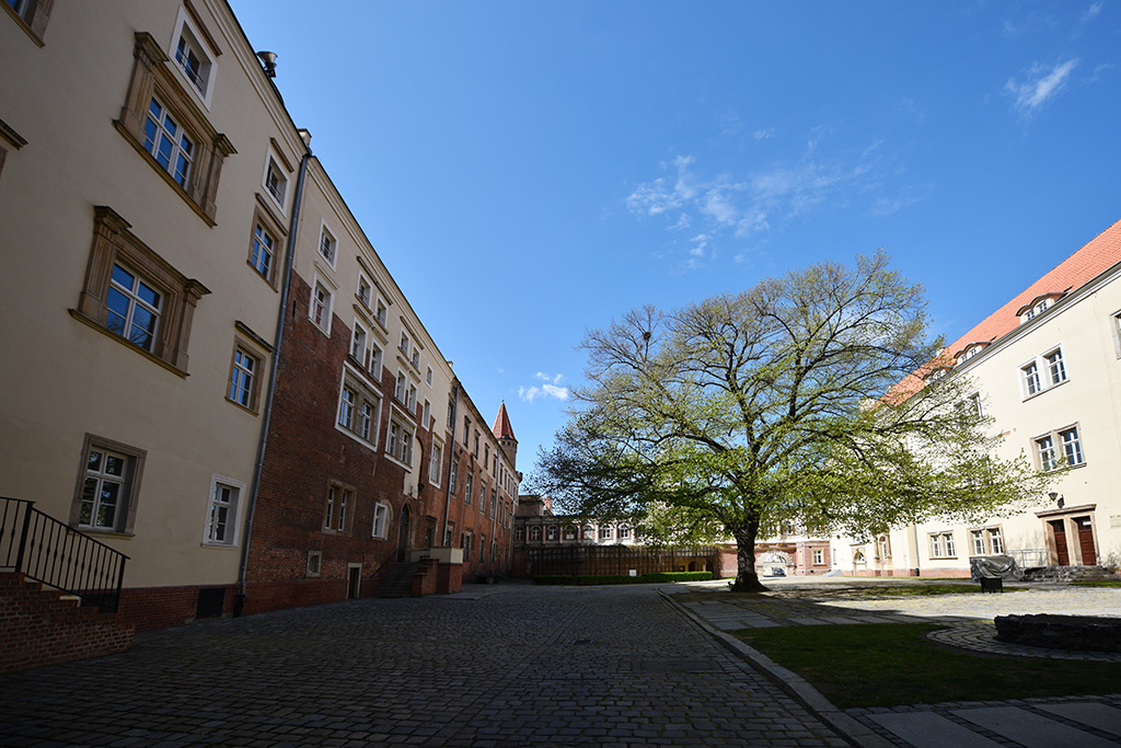 Zobacz niesamowite widoki z wieży św. Piotra