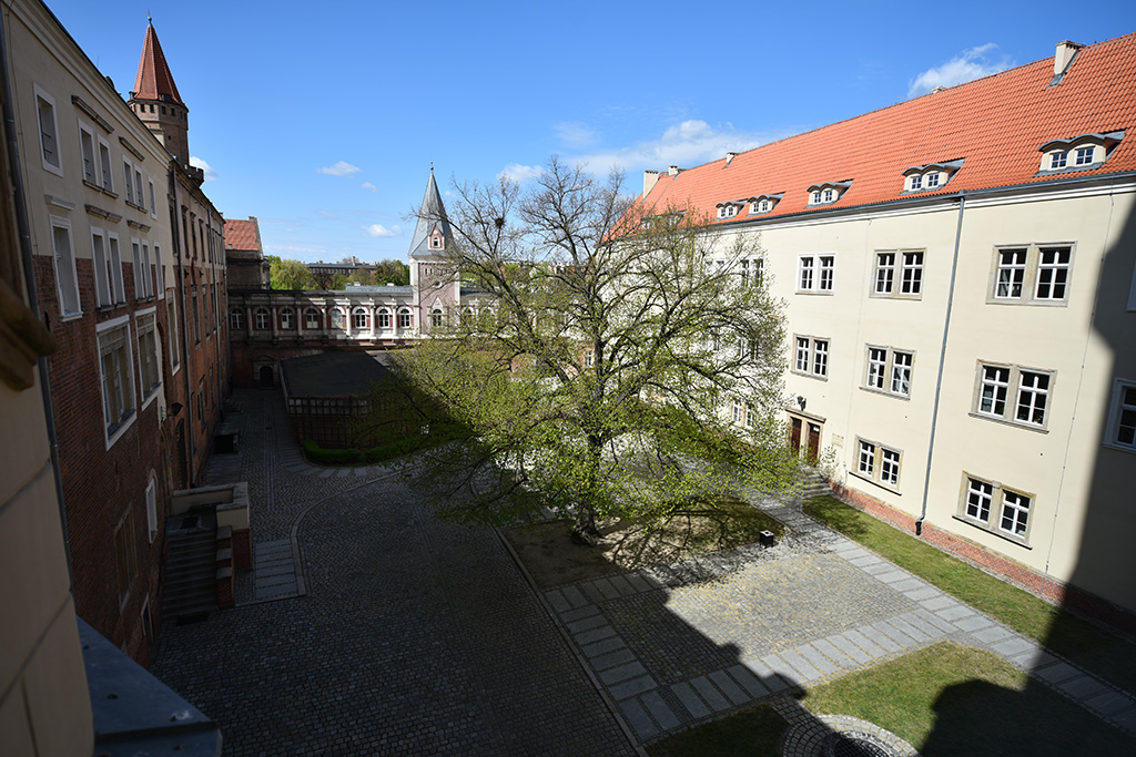 Zobacz niesamowite widoki z wieży św. Piotra