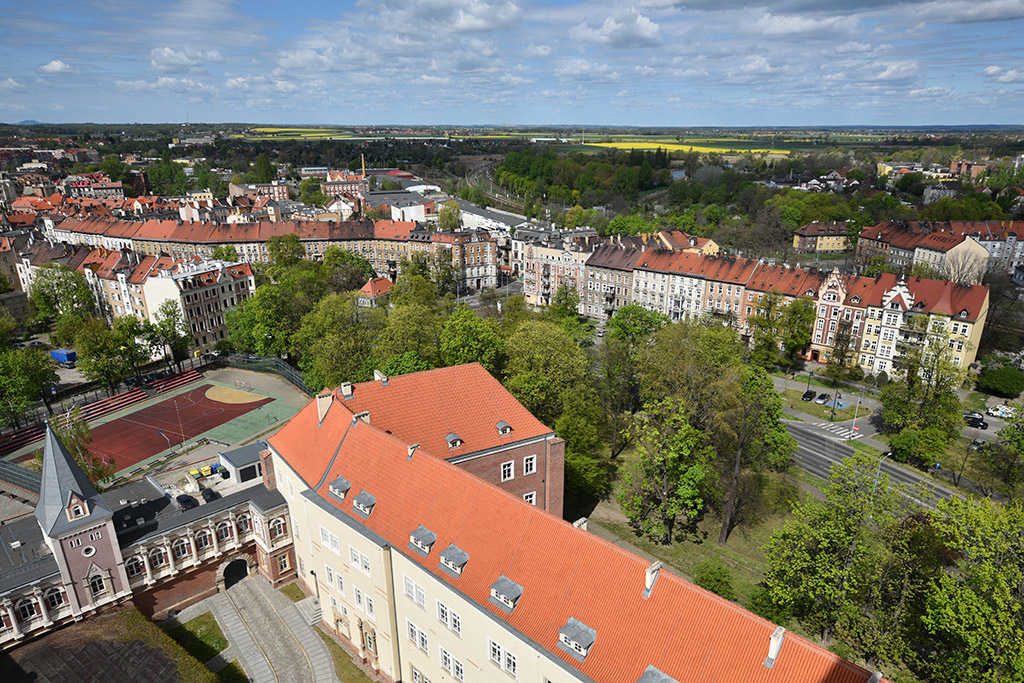 Zobacz niesamowite widoki z wieży św. Piotra