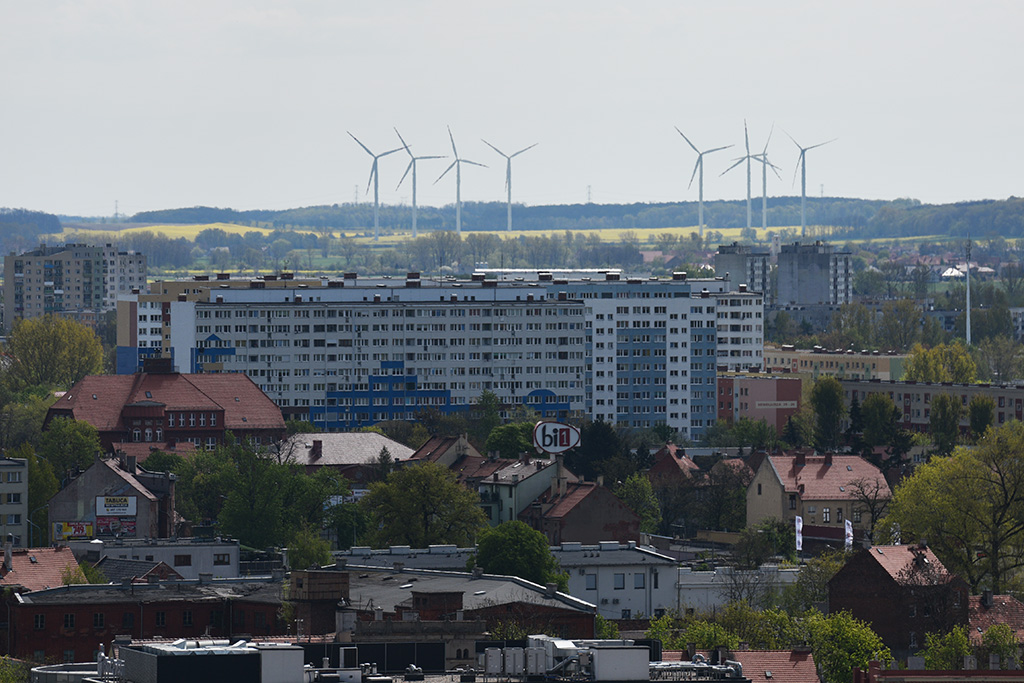 Zobacz niesamowite widoki z wieży św. Piotra