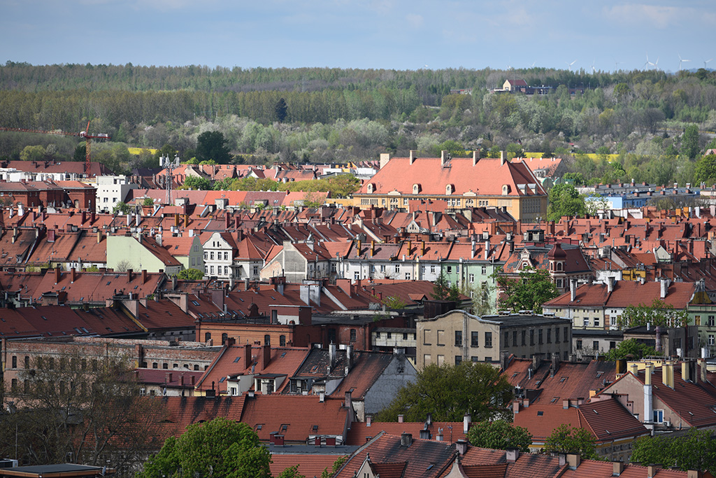 Zobacz niesamowite widoki z wieży św. Piotra