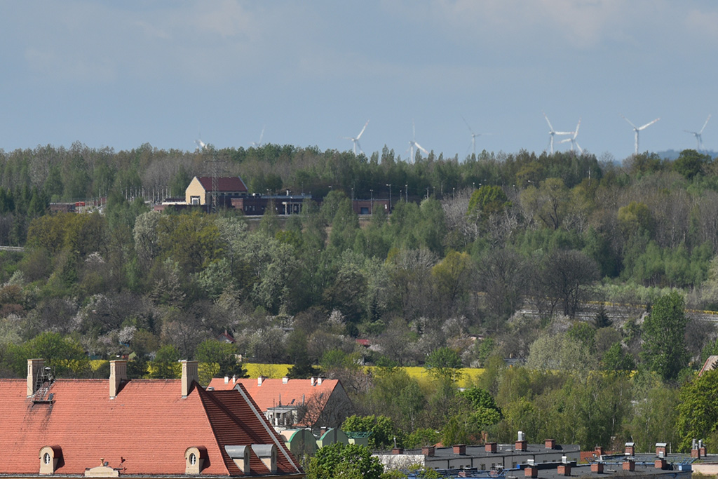 Zobacz niesamowite widoki z wieży św. Piotra