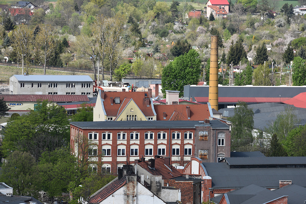 Zobacz niesamowite widoki z wieży św. Piotra
