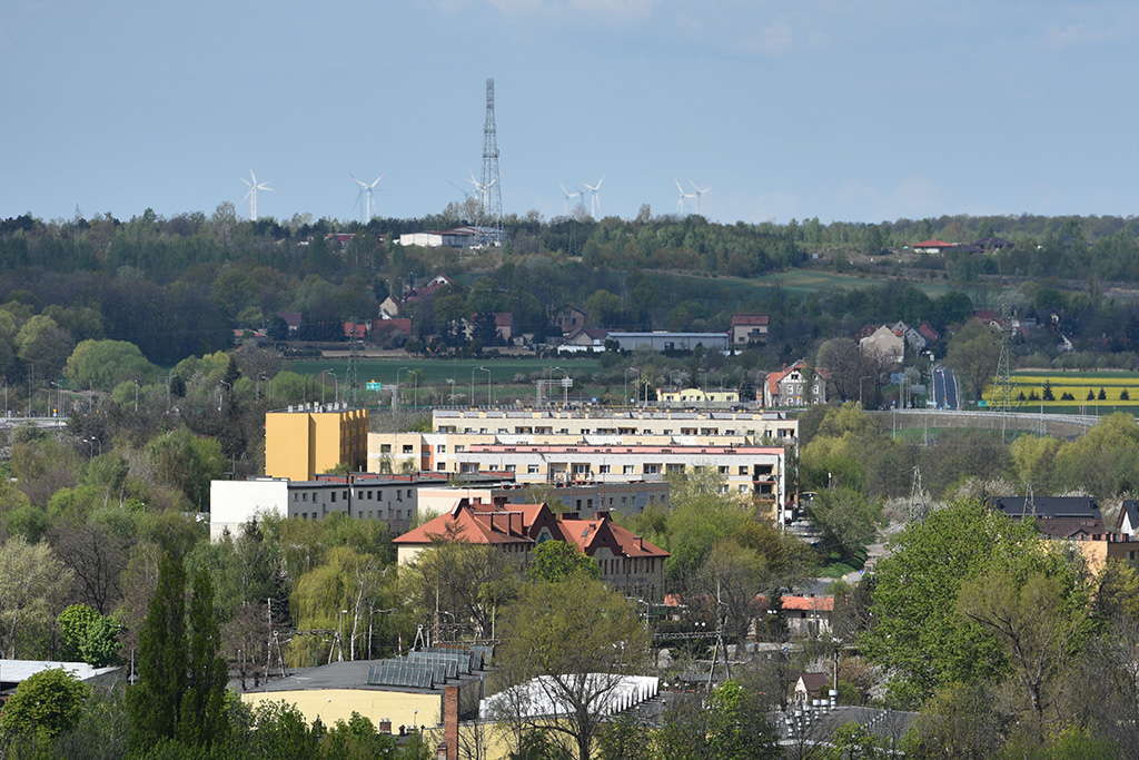 Zobacz niesamowite widoki z wieży św. Piotra