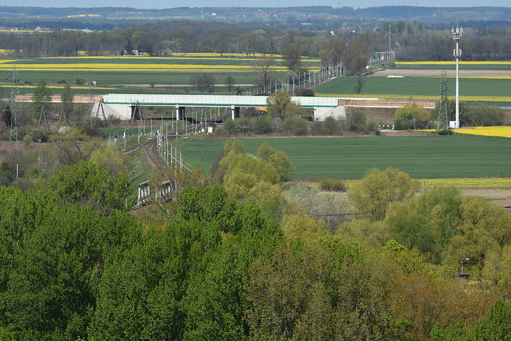 Zobacz niesamowite widoki z wieży św. Piotra