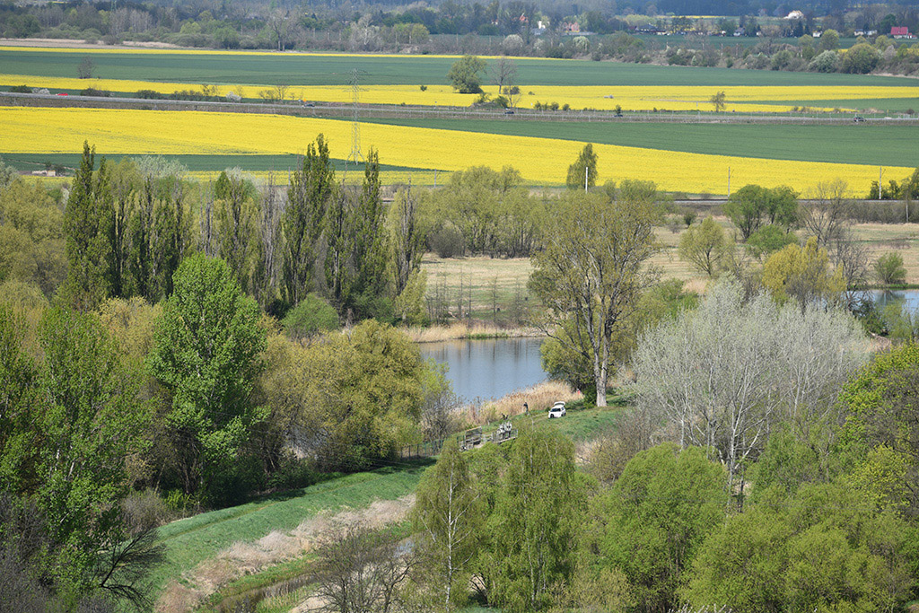 Zobacz niesamowite widoki z wieży św. Piotra