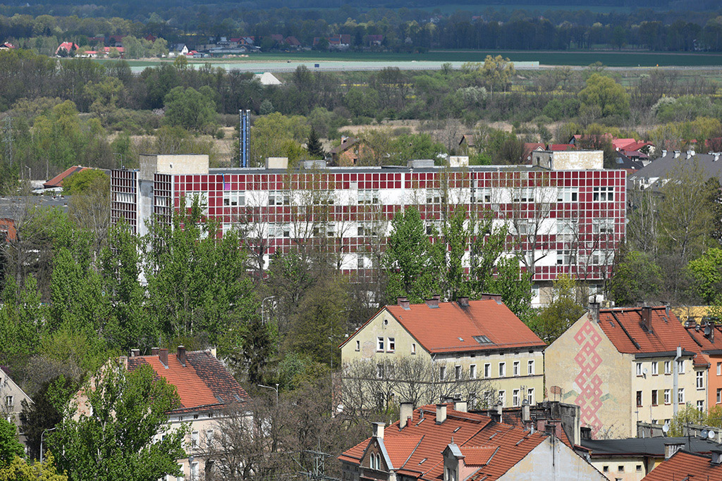 Zobacz niesamowite widoki z wieży św. Piotra