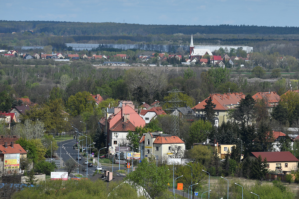 Zobacz niesamowite widoki z wieży św. Piotra