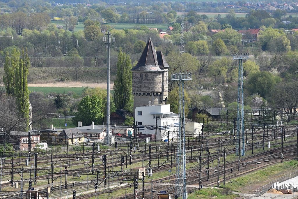 Zobacz niesamowite widoki z wieży św. Piotra