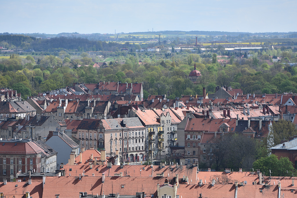 Zobacz niesamowite widoki z wieży św. Piotra