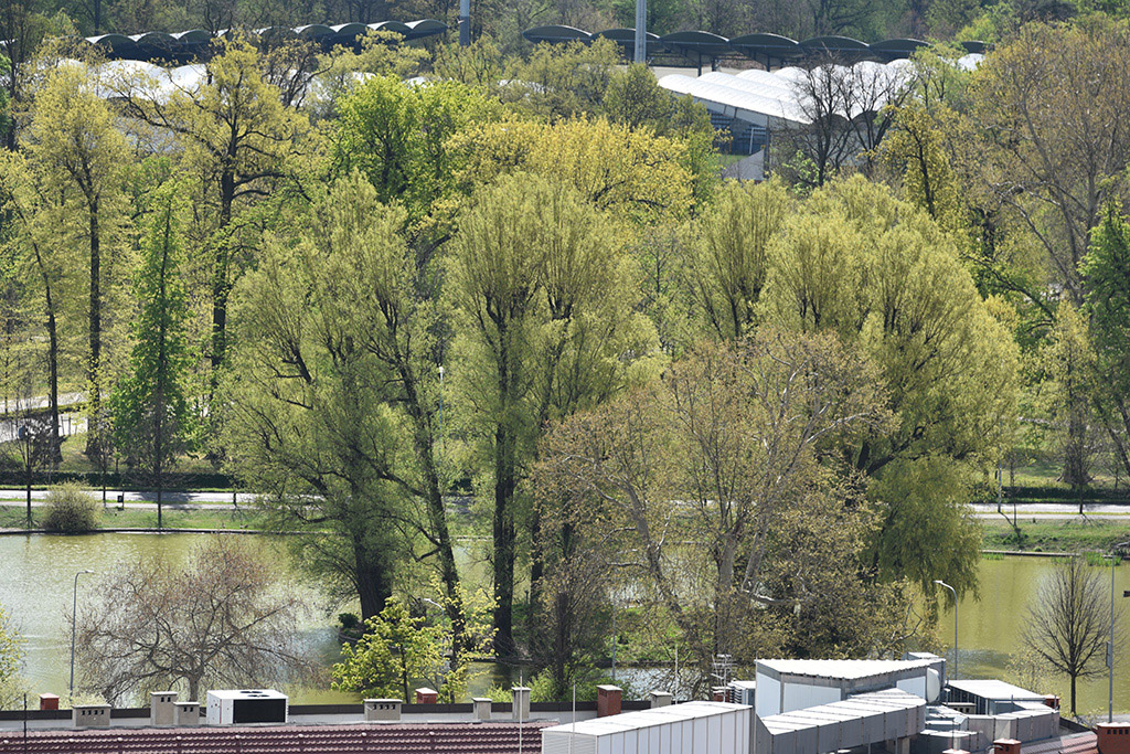 Zobacz niesamowite widoki z wieży św. Piotra