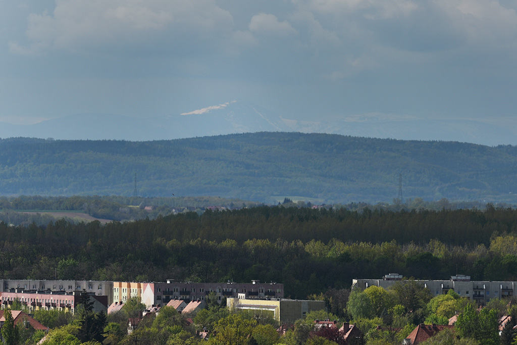 Zobacz niesamowite widoki z wieży św. Piotra