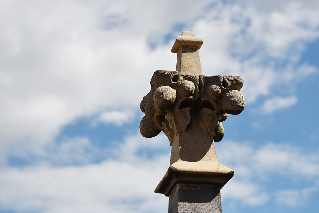 Zobacz niesamowite widoki z wieży św. Piotra