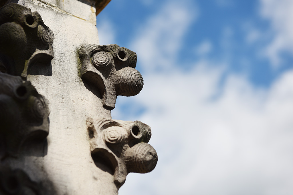 Zobacz niesamowite widoki z wieży św. Piotra