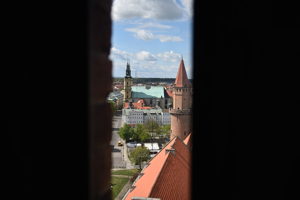 Zobacz niesamowite widoki z wieży św. Piotra