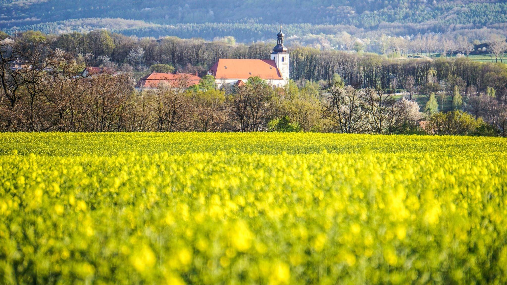Fotografie Pogórza Kaczawskiego Radosława Siewniaka

