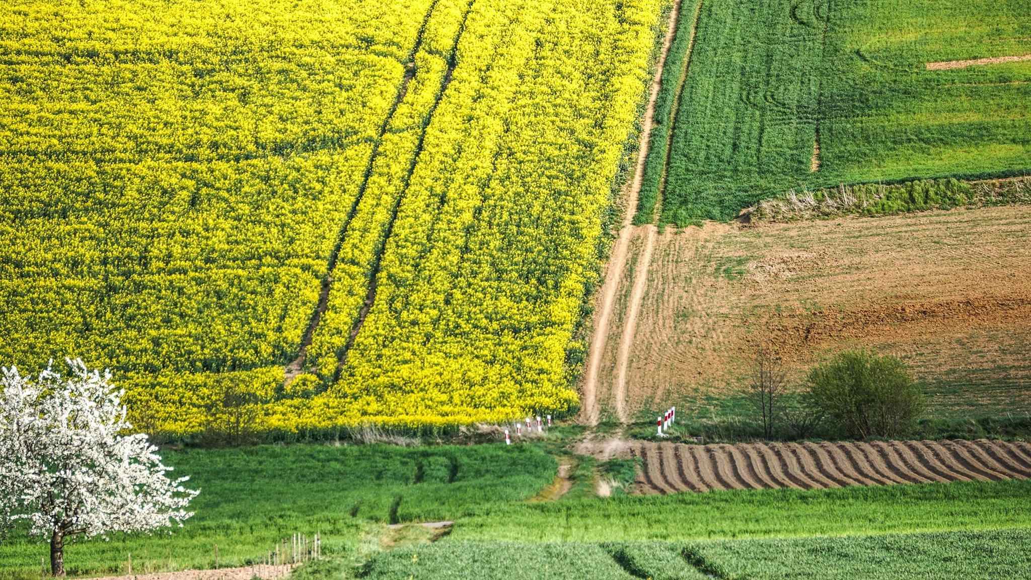 Fotografie Pogórza Kaczawskiego Radosława Siewniaka
