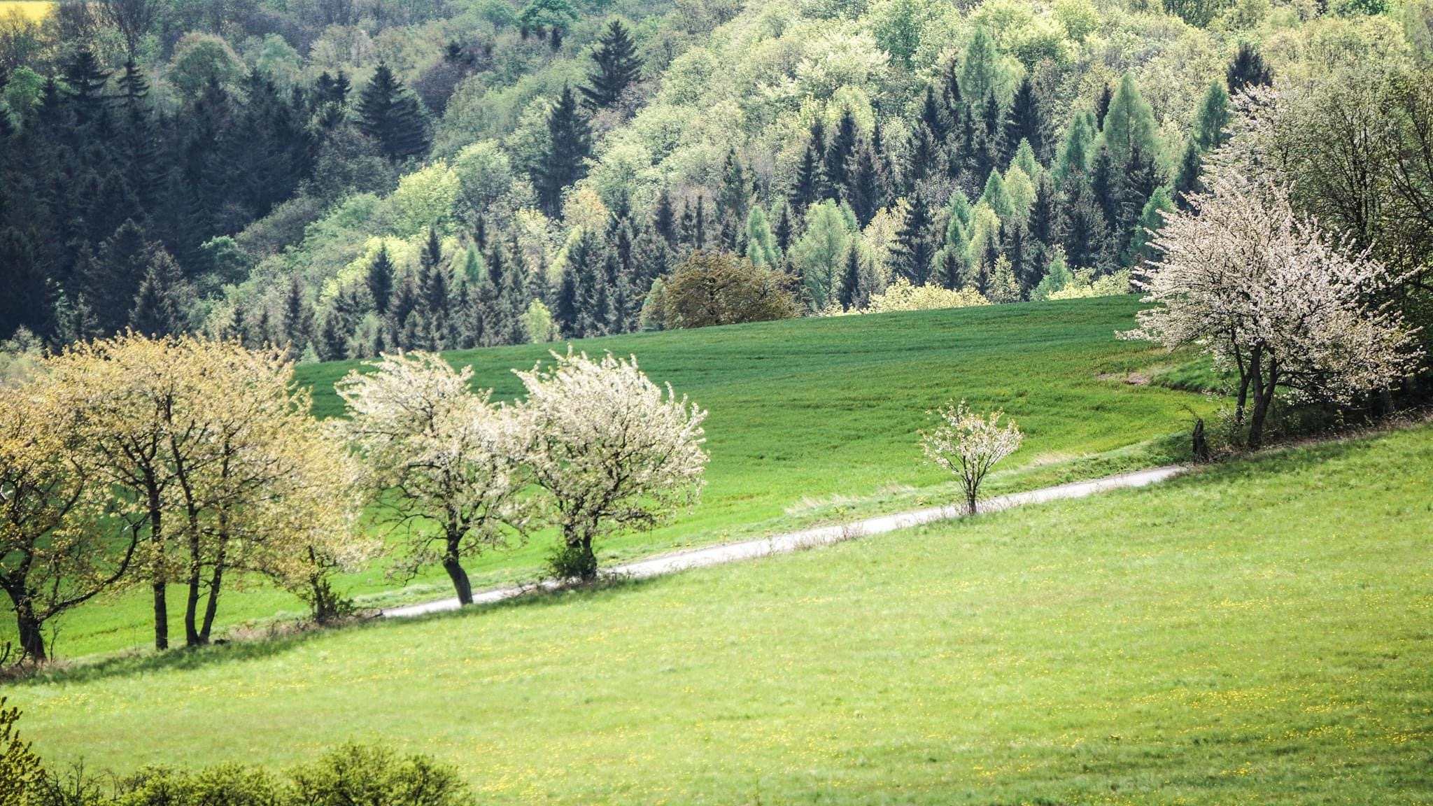 Fotografie Pogórza Kaczawskiego Radosława Siewniaka
