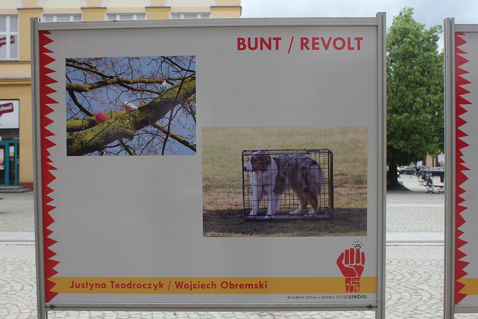 Srebrne wystawy. Zobacz historię festiwalu od 2004 roku