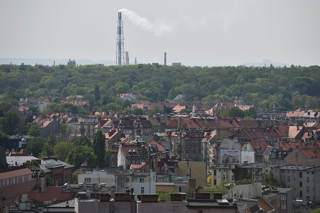 Kościół Mariacki już jest otwarty dla zwiedzających