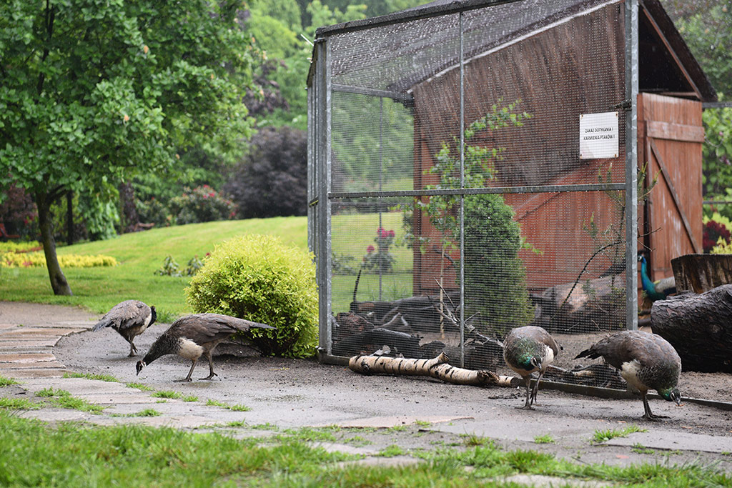 Mini zoo i ogrody tematyczne prawie gotowe do otwarcia