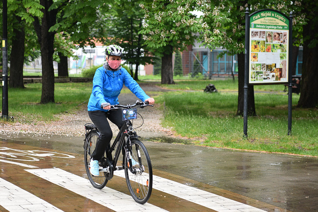 Kręcą kilometry na rzecz zwierząt z legnickiego schroniska