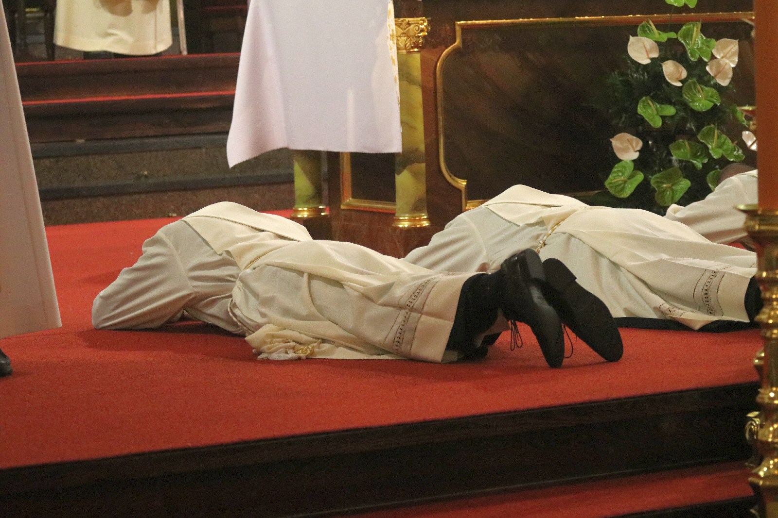 Święcenia w katedrze. Diecezja ma sześciu nowych księży
