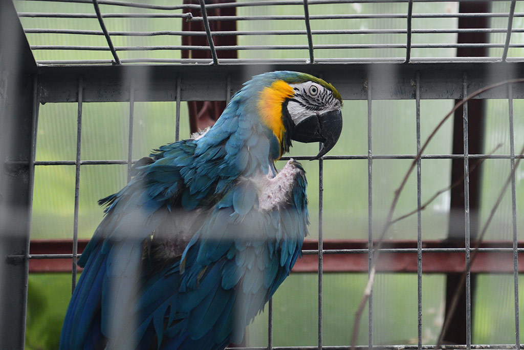 Mini zoo i ogrody tematyczne prawie gotowe do otwarcia