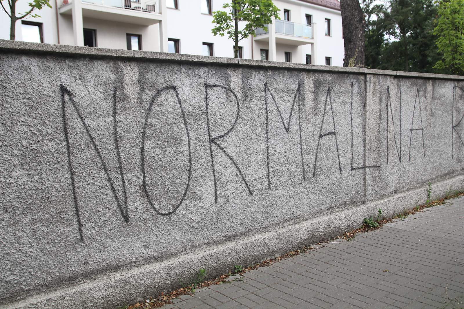 Pędzlami i farbą walczyli z mową nienawiści