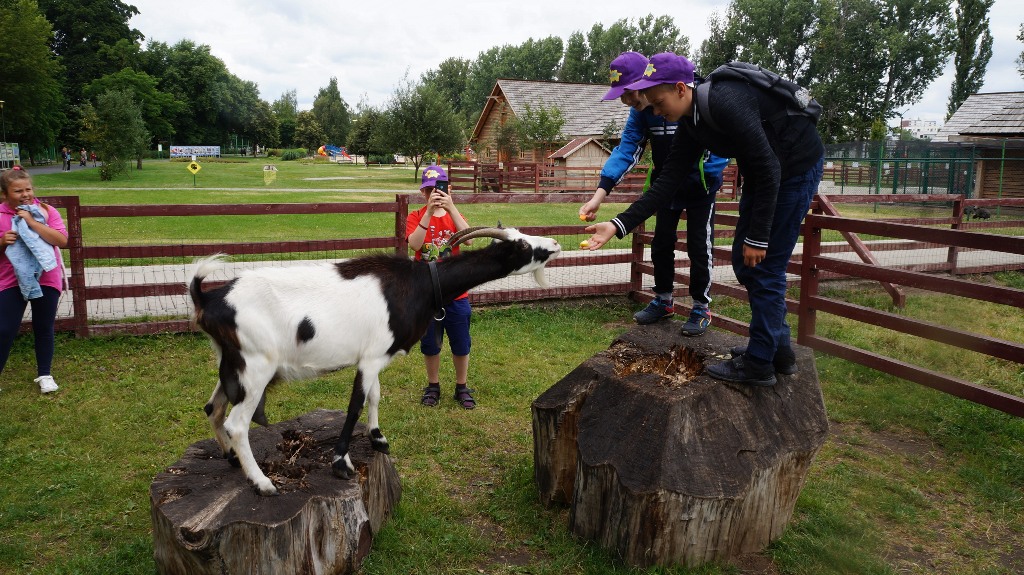 Lato z GOKiS Kunice pełne atrakcji dla najmłodszych