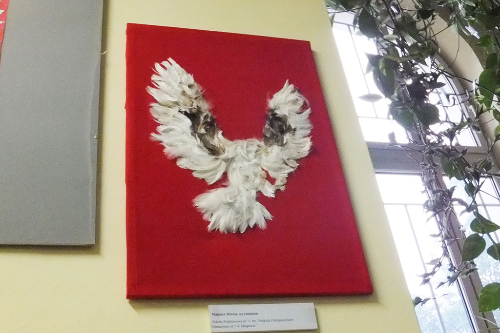 Wystawa „Orzeł Biały-Nasza Duma” w ODO przy ul. Andersa