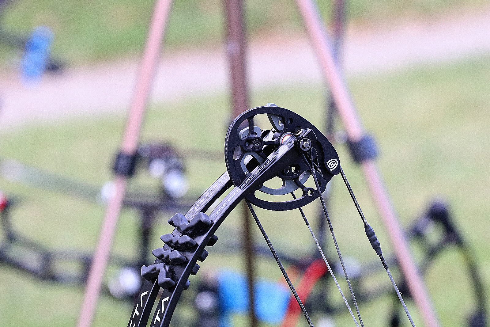 Mistrzostwa Polski seniorów w łucznictwie Bloczkowym i Barebow