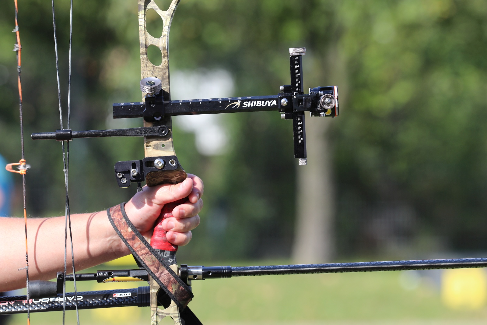 Mistrzostwa Polski seniorów w łucznictwie Bloczkowym i Barebow