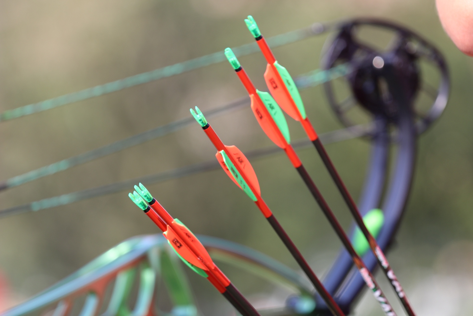 Mistrzostwa Polski seniorów w łucznictwie Bloczkowym i Barebow
