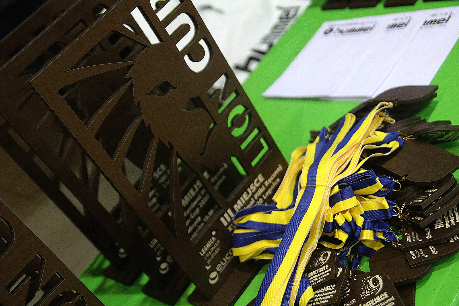 XV Festiwal Piłki Ręcznej Lion Cup Legnica 2020 cz.4    
