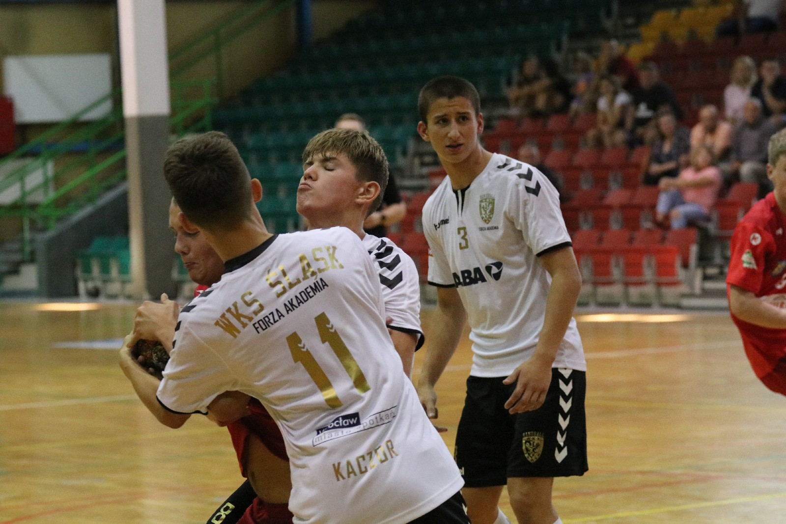 XV Festiwal Piłki Ręcznej Lion Cup Legnica 2020 cz.3     
