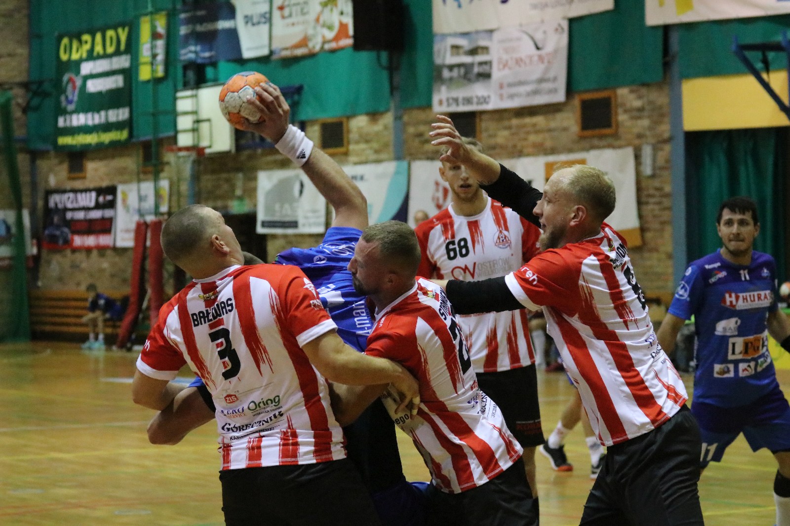 Siódemka Miedź Legnica – Ostrovia Ostrów Wielkopolsk 28:24