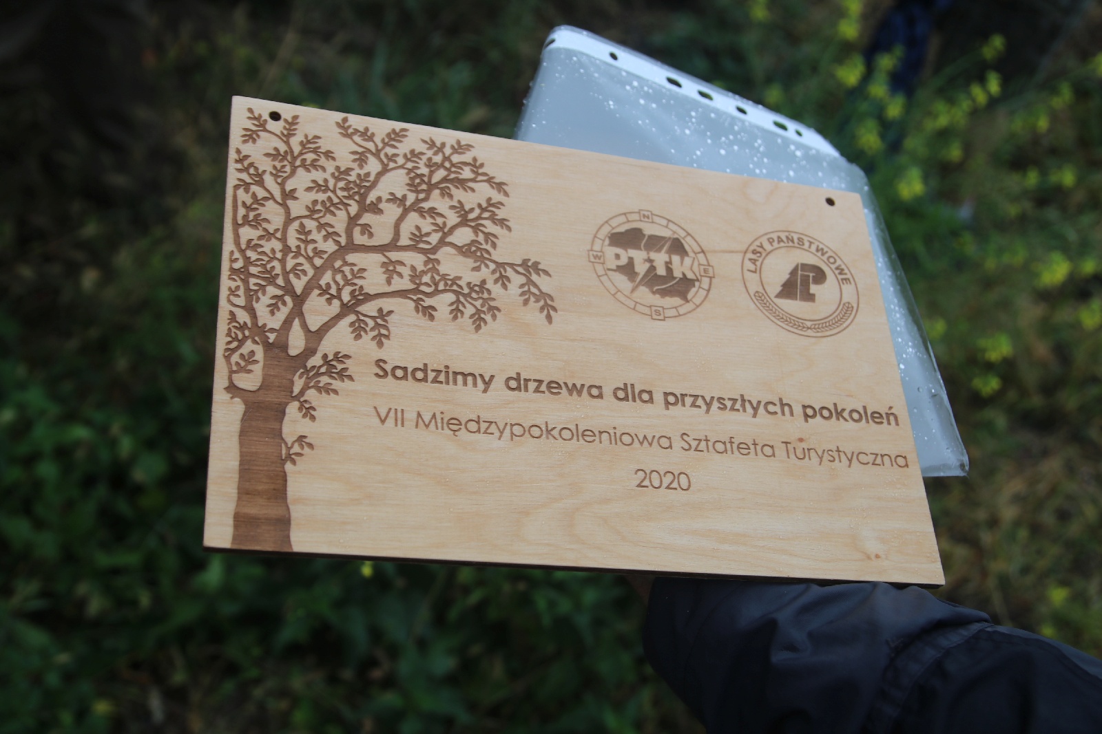 Poszli na długi spacer i posadzili dąb w Raczkowej