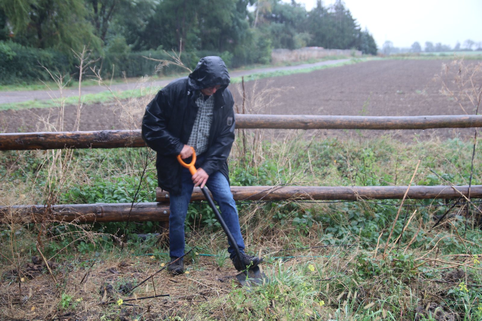 Poszli na długi spacer i posadzili dąb w Raczkowej