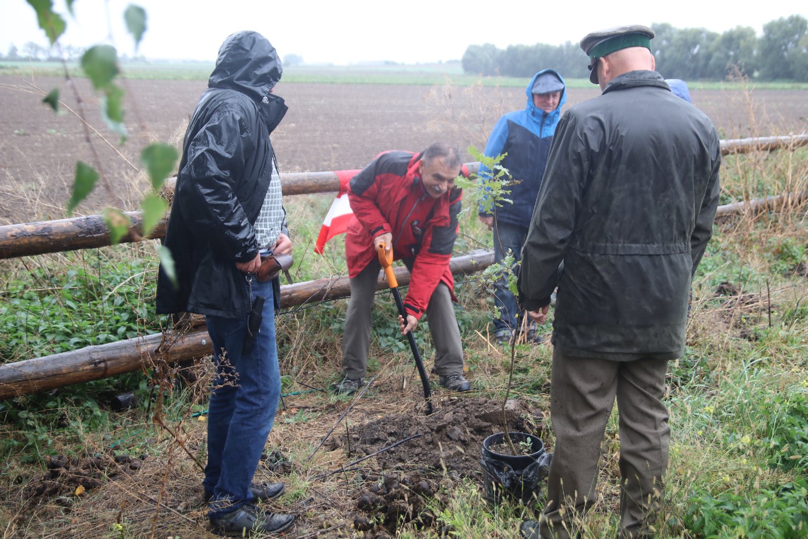 Poszli na długi spacer i posadzili dąb w Raczkowej