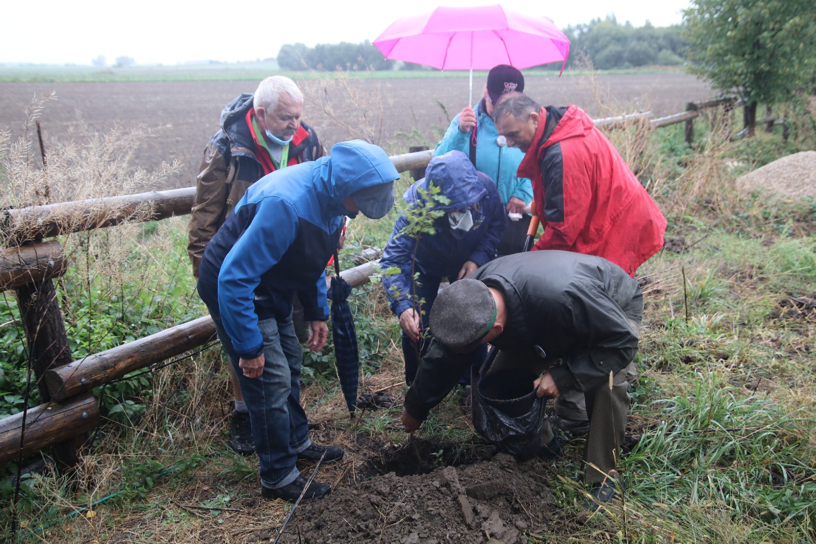 Poszli na długi spacer i posadzili dąb w Raczkowej