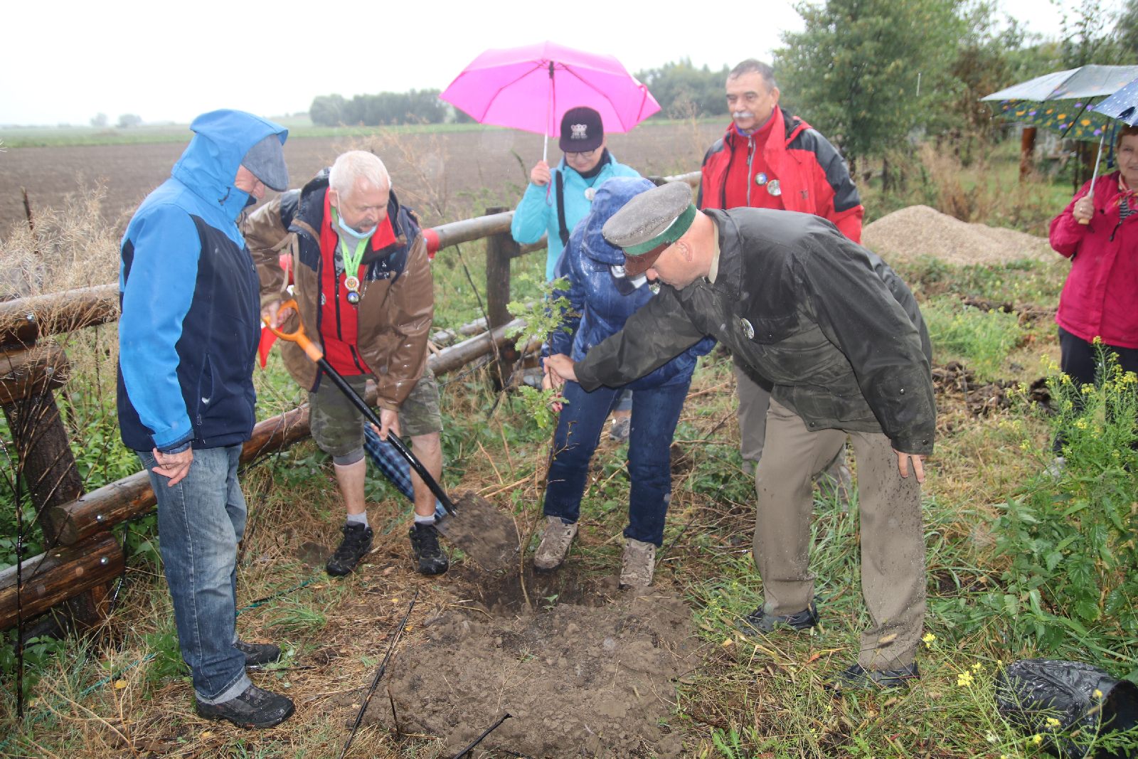 Poszli na długi spacer i posadzili dąb w Raczkowej